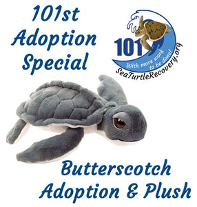 101st Sea Turtle Adoption Special
