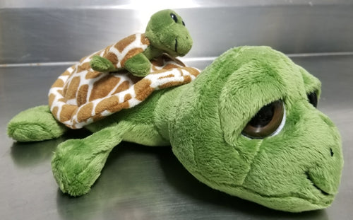 Big Eye Sea Turtle Plush With Baby