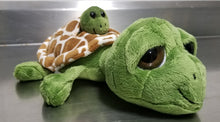 Load image into Gallery viewer, Big Eye Sea Turtle Plush With Baby